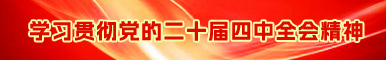 學(xué)習(xí)貫徹黨的二十屆四中全會(huì)精神